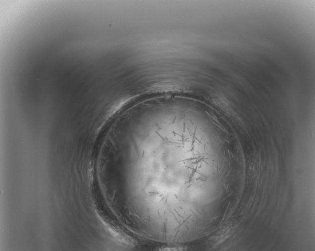 X0000060570160200511101639