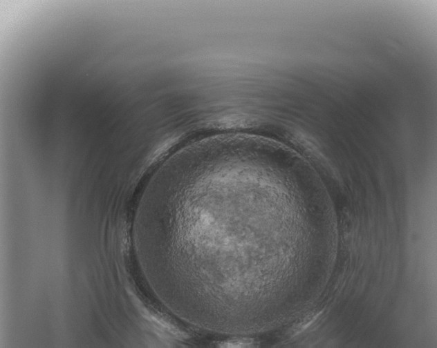 X0000060570164200511101639