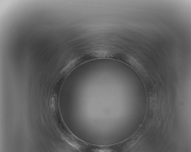 X0000060570165200511101639