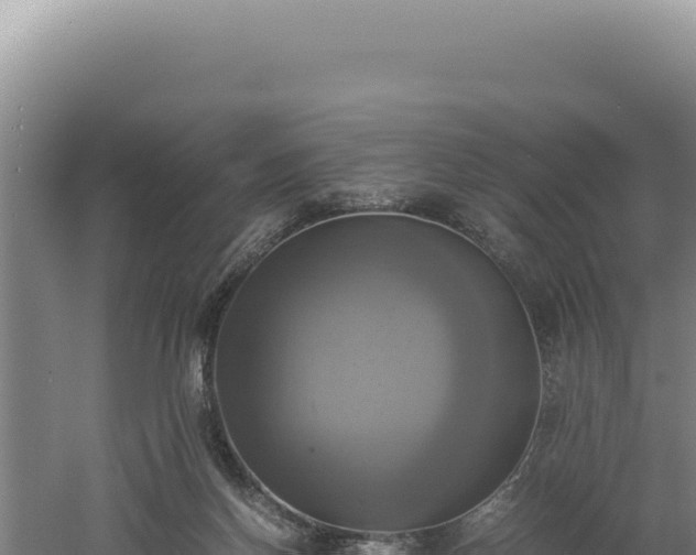 X0000060570166200511101639