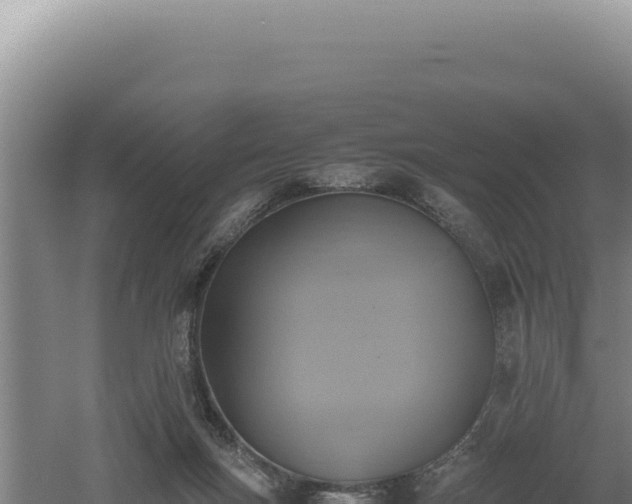 X0000060570167200511101639