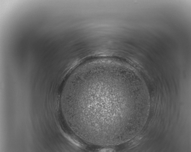 X0000060570168200511101639