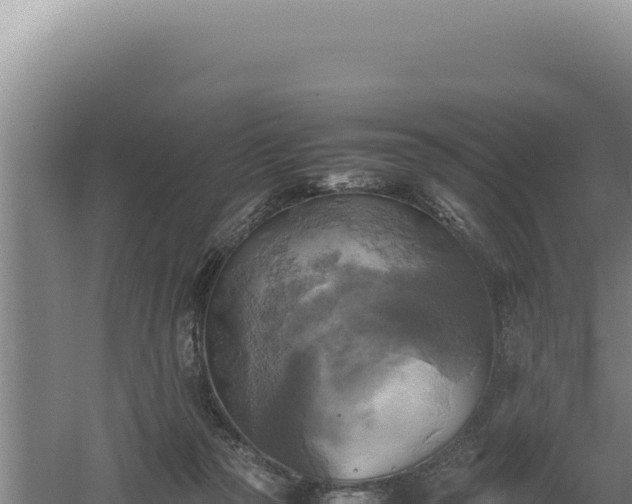 X0000060570169200511101639