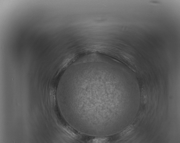 X0000060570172200511101639