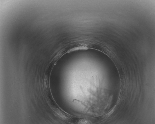 X0000060570174200511101639