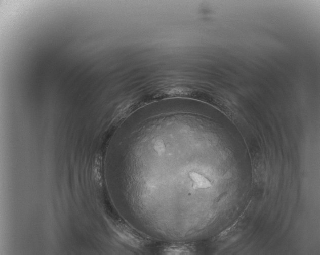 X0000060570175200511101639