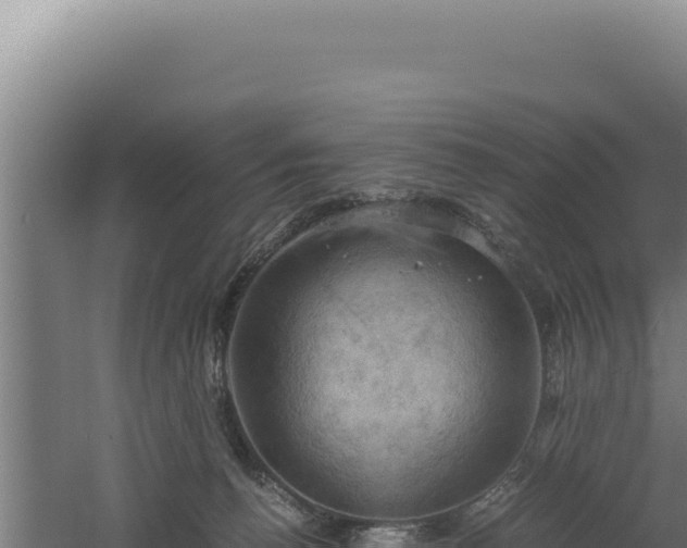 X0000060570176200511101639