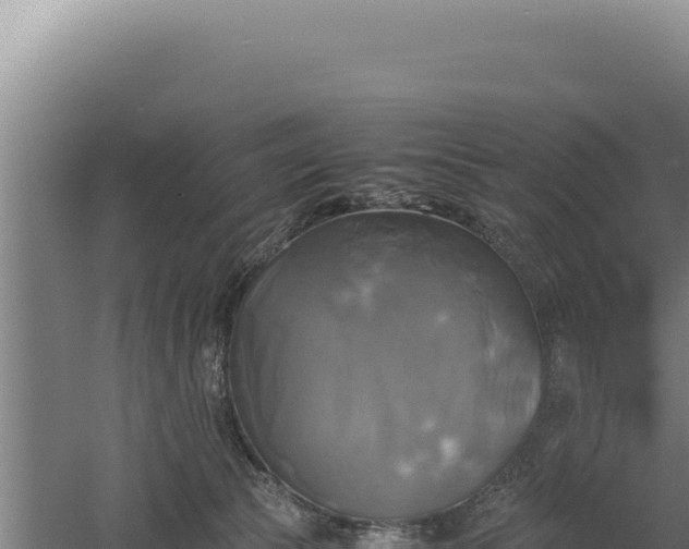 X0000060570177200511101639