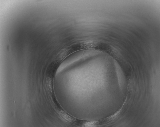 X0000060570178200511101639