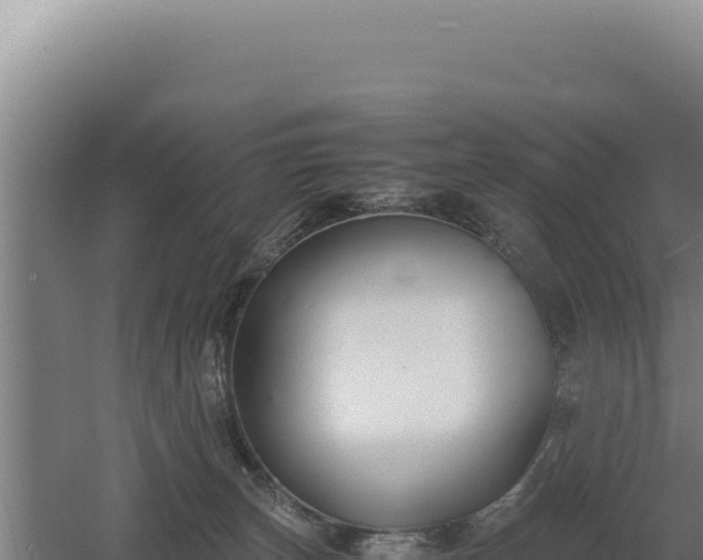 X0000060570179200511101639