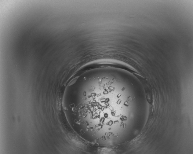 X0000060570180200511101639