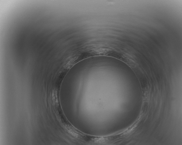 X0000060570182200511101639