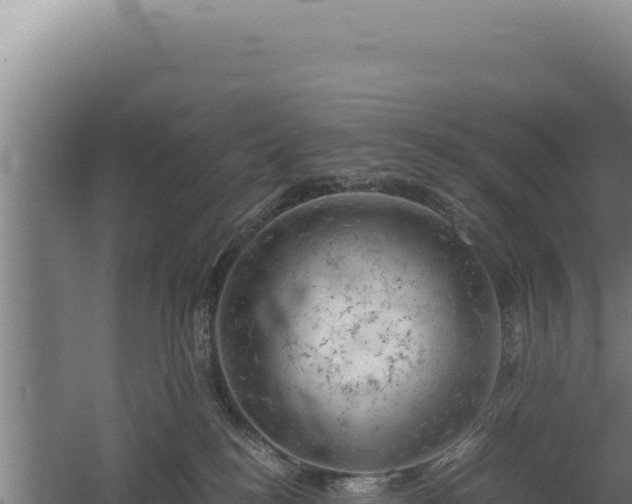 X0000060570184200511101639