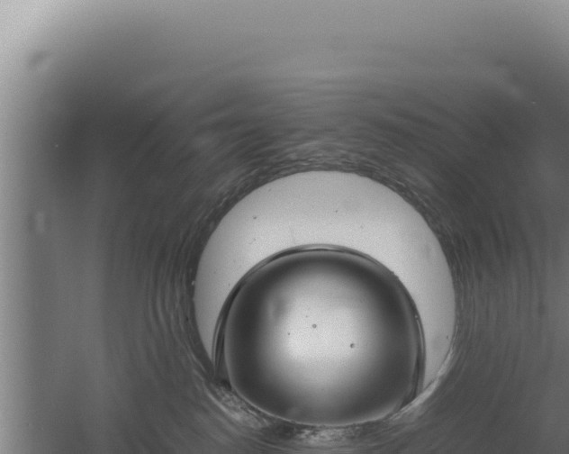 X0000060570186200511101639