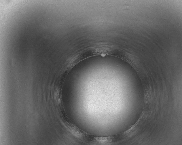 X0000060570187200511101639