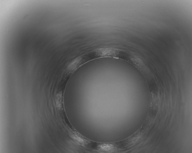 X0000060570189200511101639