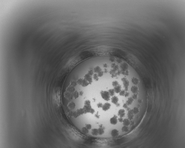 X0000060570190200511101639