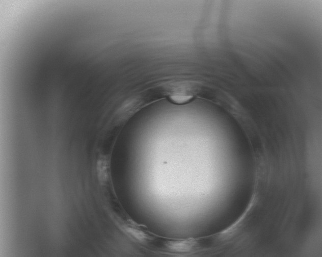 X0000060570191200511101639