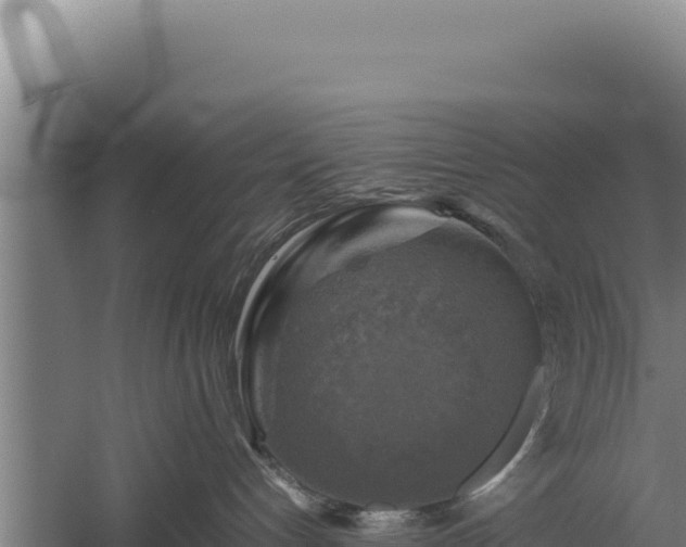 X0000060570192200511101639