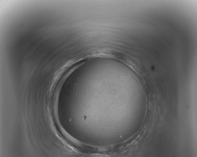 X0000060570193200511101638