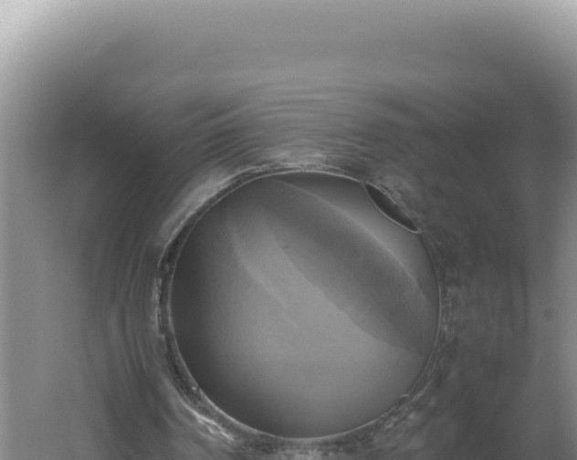 X0000060570194200511101638