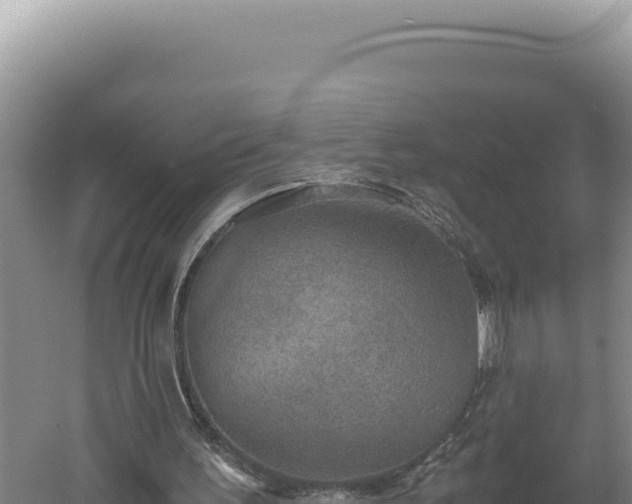 X0000060570195200511101638