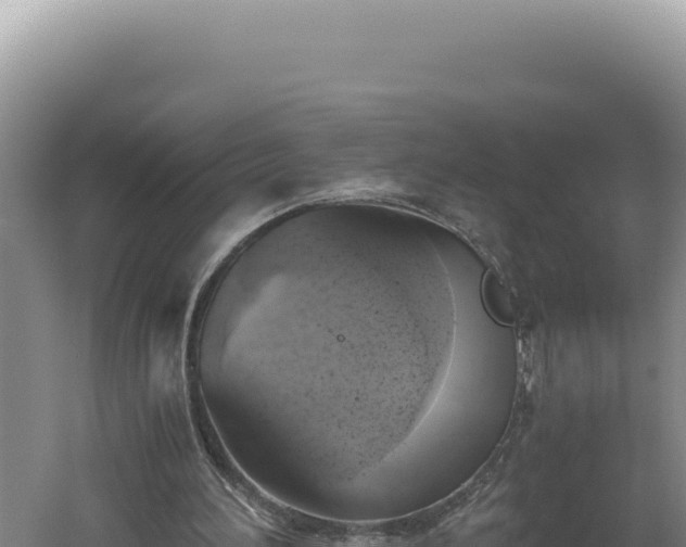 X0000060570196200511101638