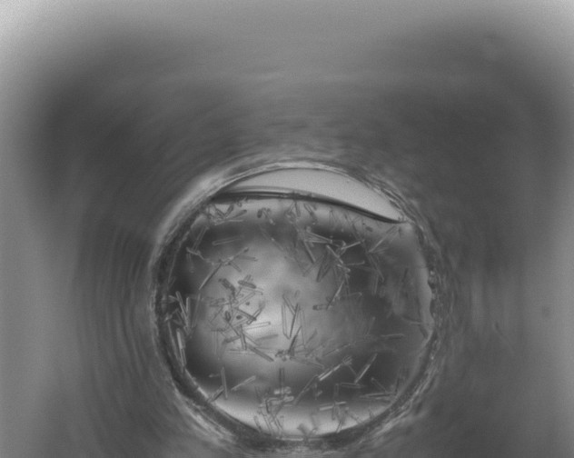 X0000060570197200511101638