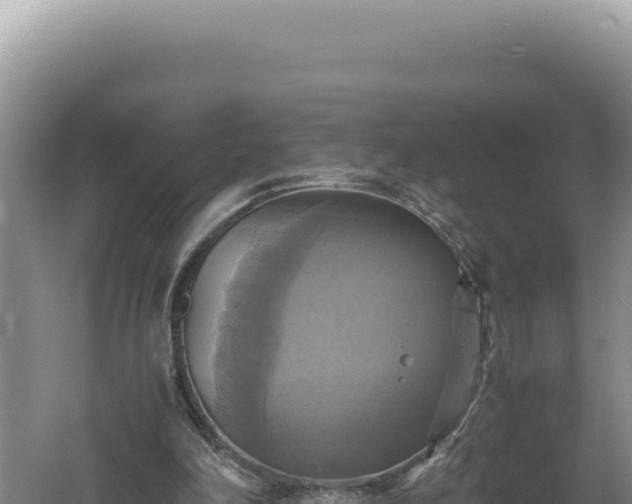 X0000060570198200511101638