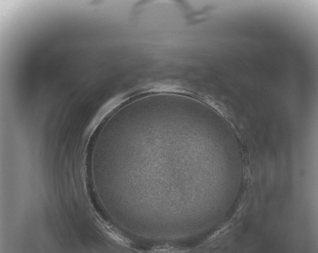 X0000060570199200511101638