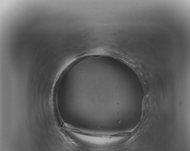 X0000060570200200511101638