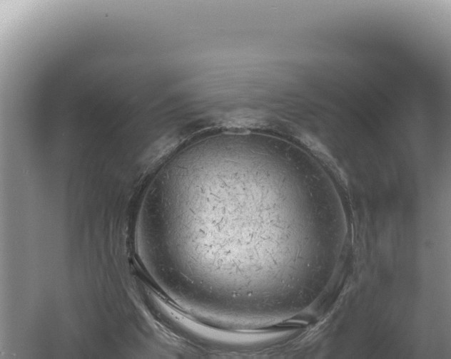 X0000060570201200511101638