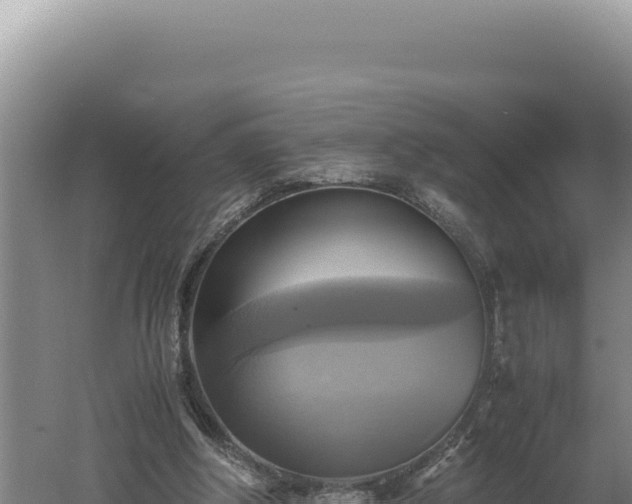 X0000060570202200511101638