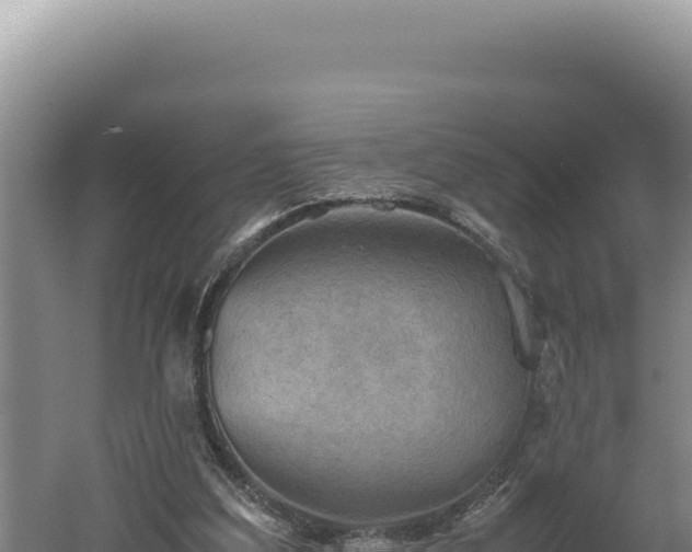 X0000060570203200511101638