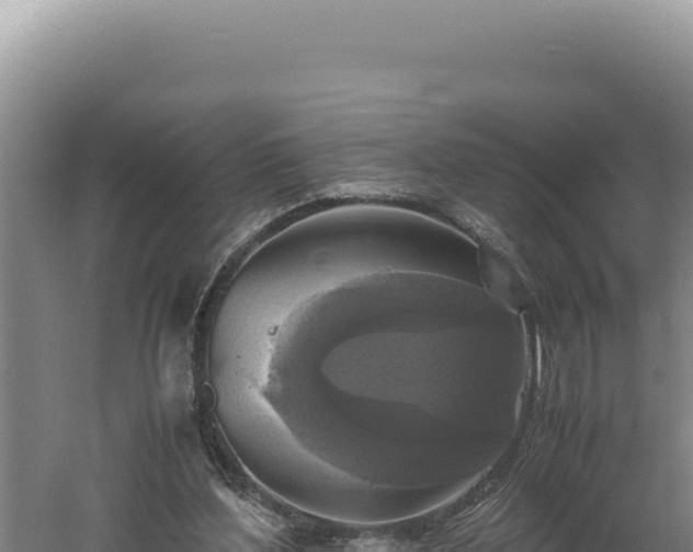 X0000060570204200511101638