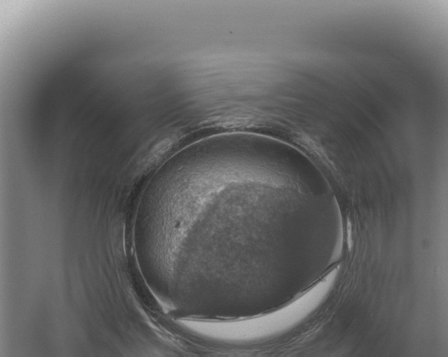 X0000060570205200511101638