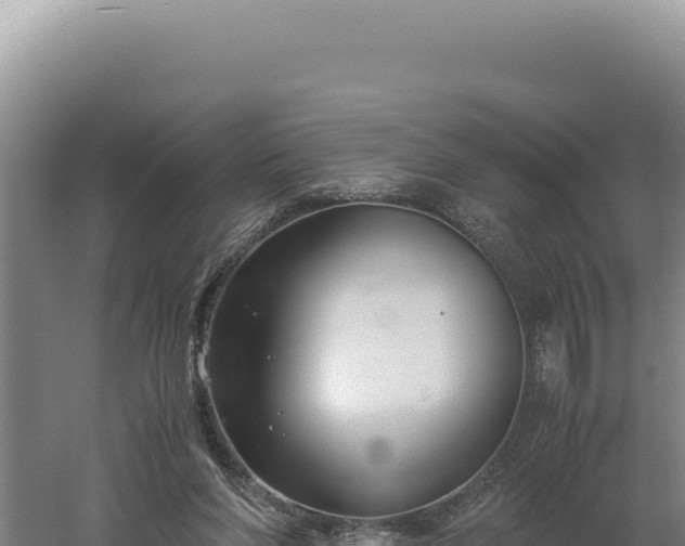 X0000060570206200511101638