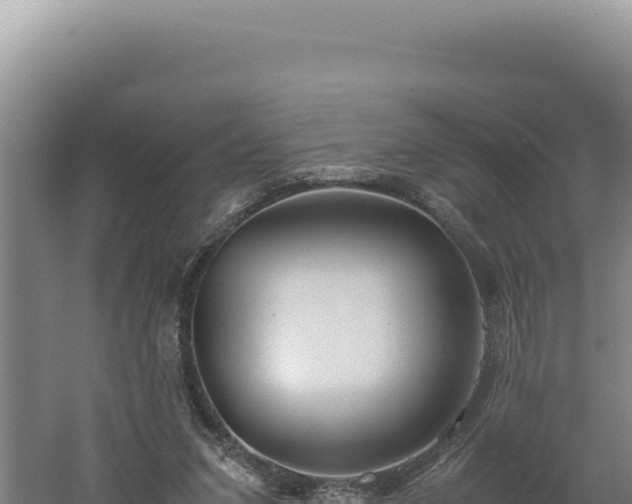 X0000060570207200511101638