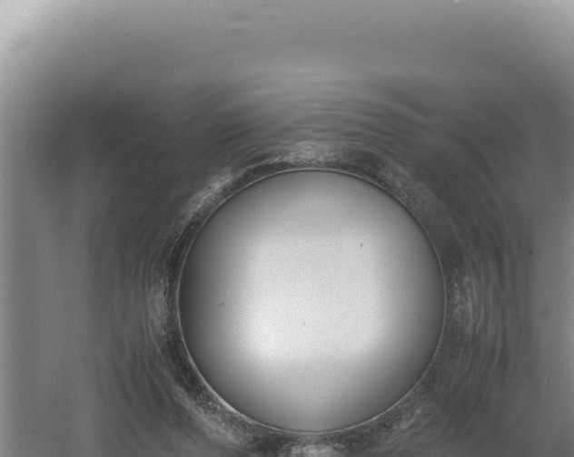 X0000060570208200511101638