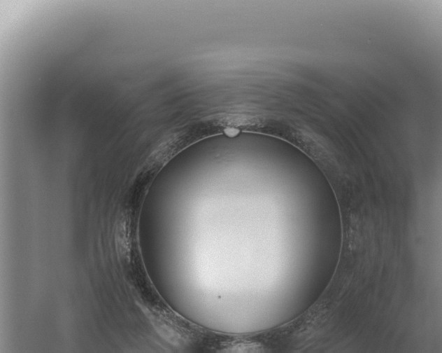 X0000060570210200511101638