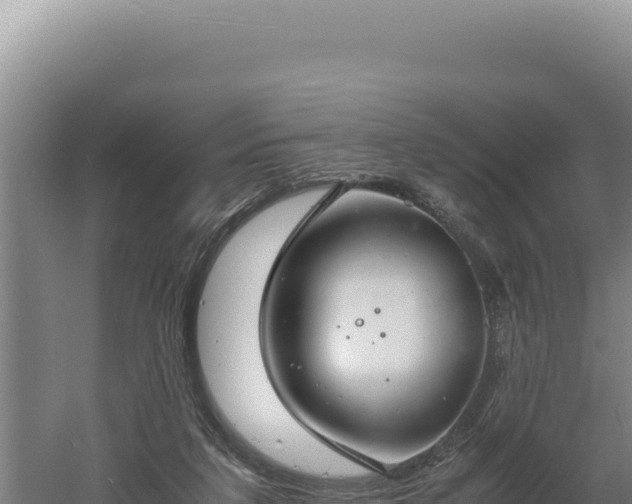 X0000060570211200511101638