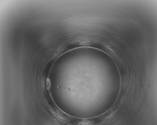 X0000060570213200511101638