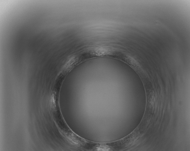 X0000060570214200511101638