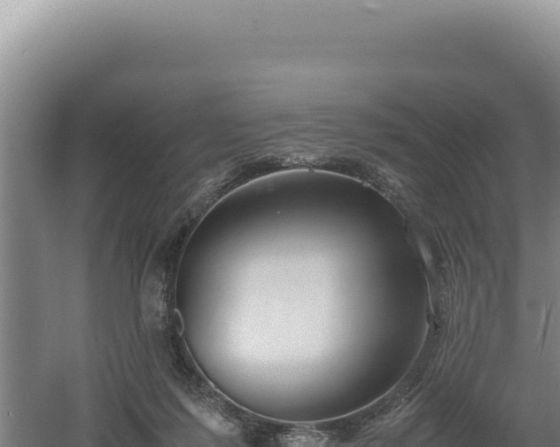 X0000060570215200511101638