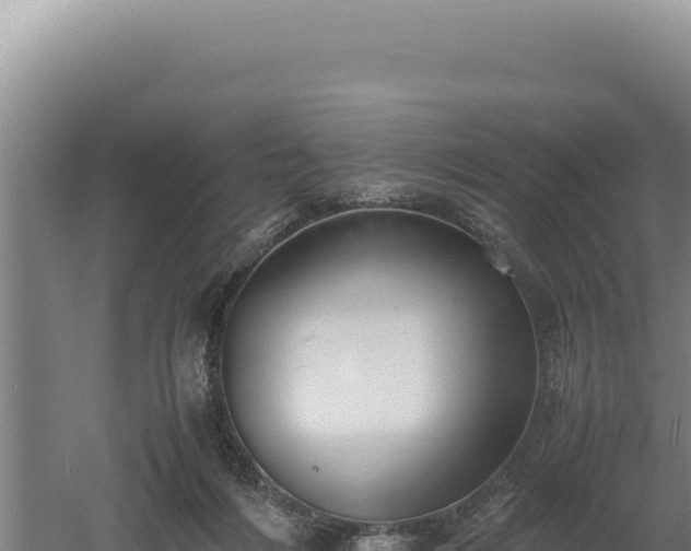 X0000060570216200511101638