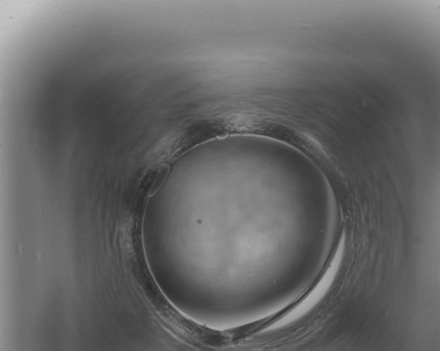 X0000060570217200511101638