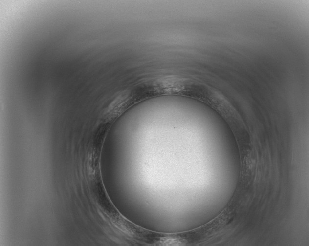 X0000060570218200511101638