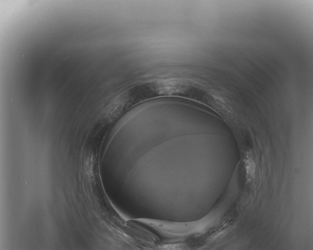 X0000060570219200511101638