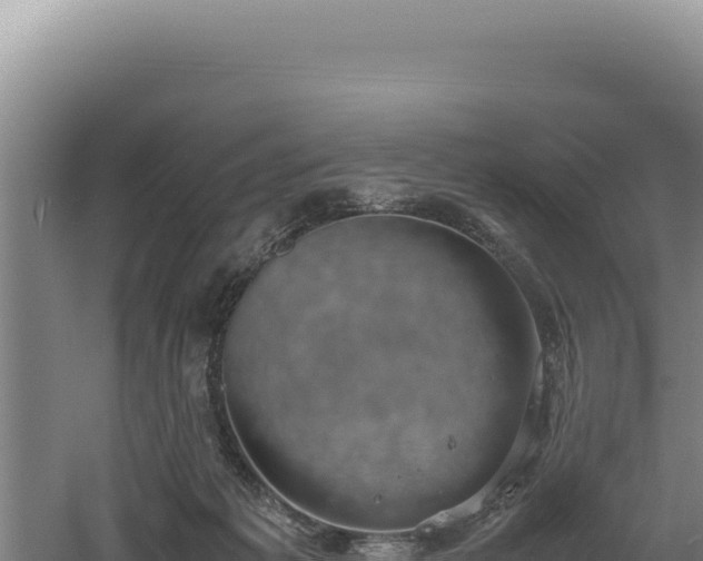 X0000060570221200511101638