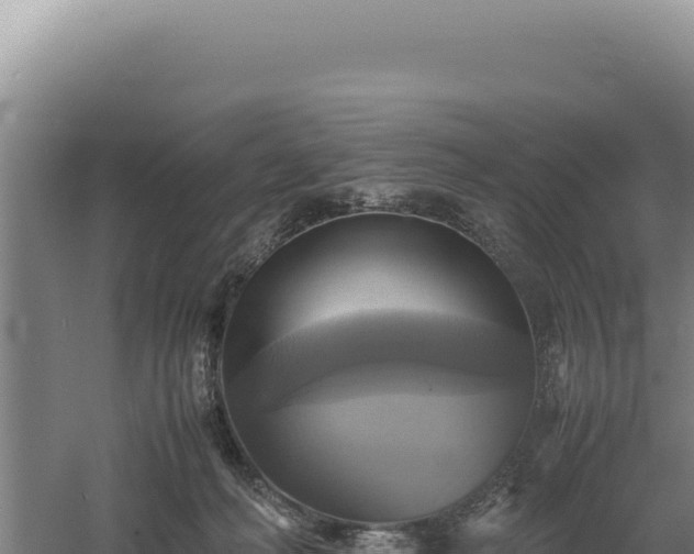 X0000060570222200511101638